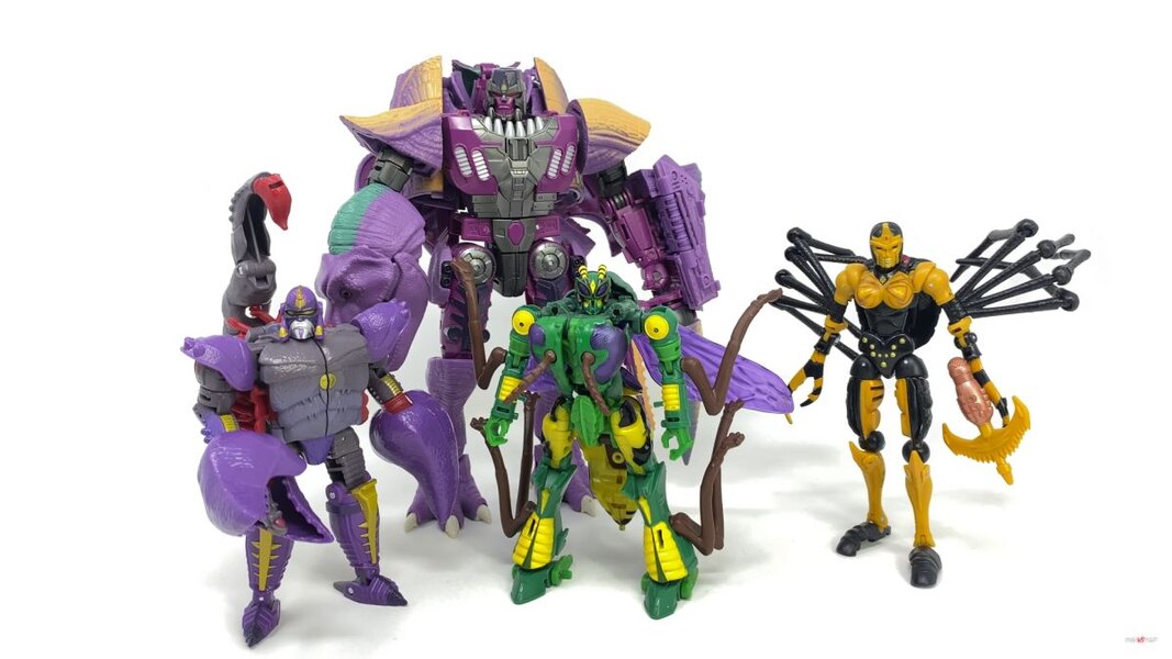 Transformers Kingdom Deluxe Class Waspinator  (28 of 28)